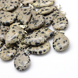 Larme naturelle pendentifs en jaspe dalmatien, avec les accessoires en laiton de tonalité de platine, 25~29x16~17x5~6mm, Trou: 2x7mm