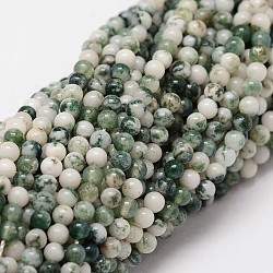 Chapelets de perles en agate d'arbre naturelle, ronde, 2mm, Trou: 0.5mm, 190 pcs / chapelet, 15.7 pouce