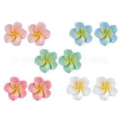 Boucles d'oreilles en résine pour femmes, fleur, couleur mixte, 17x22mm