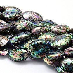 Natural Paua Shell Beads Strands, Oval, Colorful, 46~56x32~45x17~28mm, Hole: 1mm, about 7pcs/strand, 13.5 inch