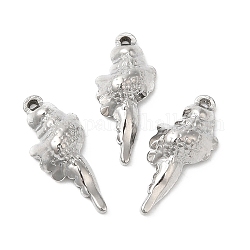 304 Stainless Steel Pendants, Conch Charm, Stainless Steel Color, 17x7.5x3.5mm, Hole: 0.9mm