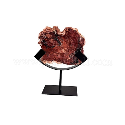 Натуральный окаменевший срез древесины&nbsp;AJEW-H157-10-1