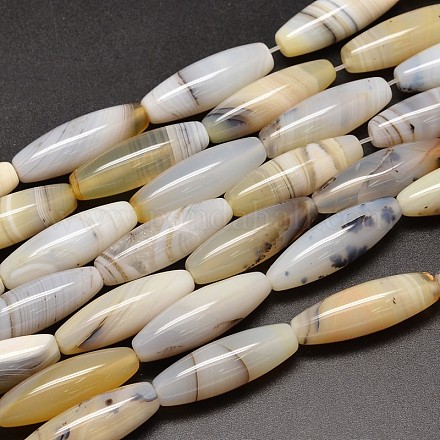 Rice Natural Dendritic Agate Bead Strands G-M257-30x10mm-18-1