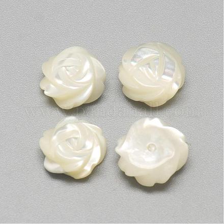 Natural White Shell Mother of Pearl Shell Cabochons SSHEL-R042-11-1