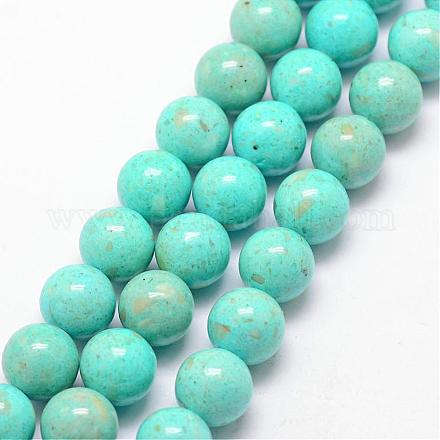 Dyed Fossil Beads G-SR14MM-FS21-1