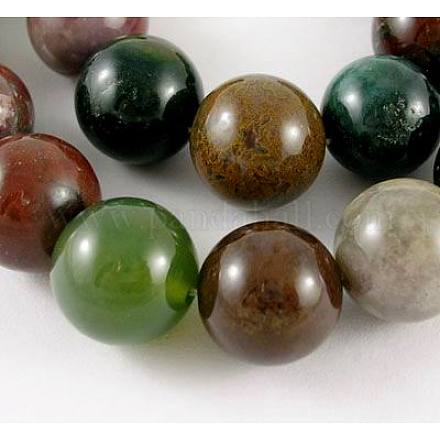 Natural Indian Agate Beads Strands G-G515-10mm-05-1