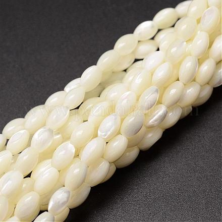 Fili di perle di conchiglia trochid naturale / trochus SSHEL-K008-06-1