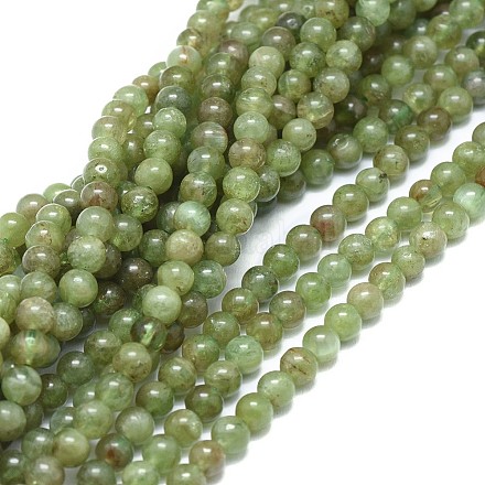 Chapelets de perles en apatite naturelle G-F674-02-4mm-1