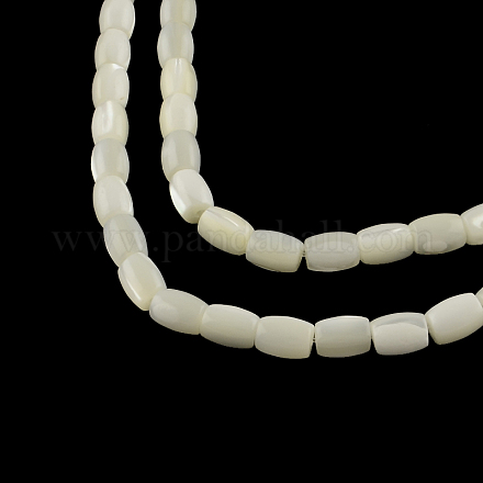 Tonneau naturel trochid shell / perles de coquillage trochus brins SSHEL-F290-25-1