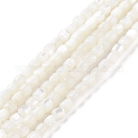 Brins de perles de coquillages naturels de troca SSHEL-H070-02G-1