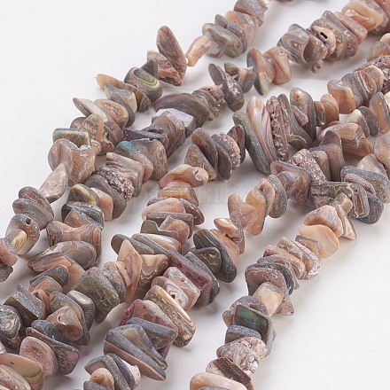 Chapelets de perles de coquillage naturel G-E457-02-1