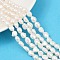 Natural Cultured Freshwater Pearl Beads Strands, Two Sides Polished, Grade 3A+, Seashell Color, 7~8mm, Hole: 0.6mm, about 36~37pcs/strand, 13.54~13.82''(34.4~35.1cm)