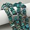 Natural Chrysocolla Chip Beads Strands, 10~18x7~10x2~7mm, Hole: 1mm, 15.94''~16.34''(40.5~41.5cm)