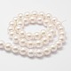 Shell fili di perle perline X-BSHE-L026-03-10mm-2