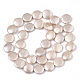 Shell Pearl Beads Strands SSHEL-R046-04C-2