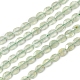 Chapelets de perles en préhnite naturelle G-I271-B14-8x10mm-1