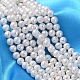 Shell Pearl Beads Strands SP034-8mm-1