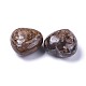 Piedra natural del amor del corazón de bronzita G-F659-B09-2