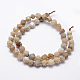 Natural Fossil Coral Beads Strands G-K209-02H-8mm-2