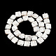 Plating Natural Freshwater Shell Beads Strands SHEL-N026-230A-2