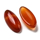 Natural Red Agate Cabochons G-B050-24C-2