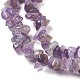 Natural Amethyst Beads Strands F014-1-3