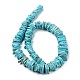 Natural Howlite Chip Beads TURQ-L031-010-A-3