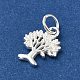 925 Sterling Silver Charms STER-NH0001-34S-2