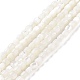 Brins de perles de coquillages naturels de troca SSHEL-H070-02G-1