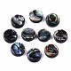 Perles de coquille d'ormeau naturel/coquille de paua SSHEL-T014-14B-1