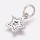 Thai 925 Sterling Silver Charms STER-G018-06P-2