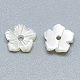 Perles de coquillage blanc naturel SSHEL-S260-003-2