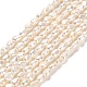 Natural Cultured Freshwater Pearl Beads Strands PEAR-E016-103-1