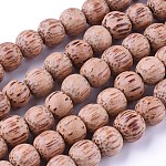 Кокосового ореха бисер нитей, круглые, Перу, бусины : 10-11 мм диаметром, отверстие : 1 мм, около 78 шт / нитка