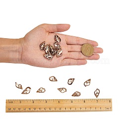 Spirale Shell naturale perline&nbsp;BSHE-SZ0001-02
