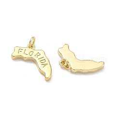 Pendentifs en laiton&nbsp;KK-D229-22D-G