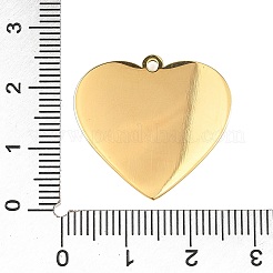 Подвески из нержавеющей стали 304 с эмалью&nbsp;STAS-Z186-12G-03