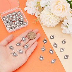 50pcs Legierungsanhänger im tibetischen Stil&nbsp;TIBEP-UN0001-18