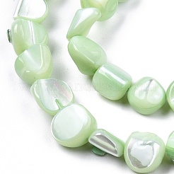 Fili di perle di conchiglia trochid naturale / trochus&nbsp;SSHEL-N032-49-A04