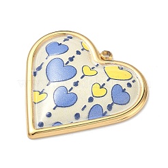 Подвески из нержавеющей стали 304 с эмалью&nbsp;STAS-K295-52G-02