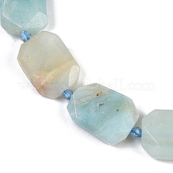 Brins de perles d'amazonite de fleurs naturelles&nbsp;G-B125-P05-01