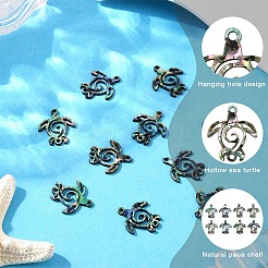 10 шт. подвески-соединители из натуральной ракушки пауа&nbsp;SHEL-YW0001-16