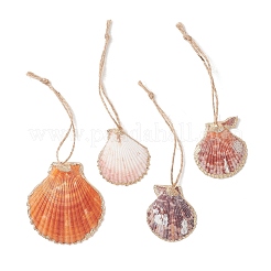 Подвесные украшения из разноцветных морских ракушек с гальваническим покрытием&nbsp;HJEW-JM04622