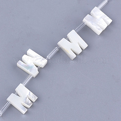 Perles de coquille naturels&nbsp;SHEL-T012-60M