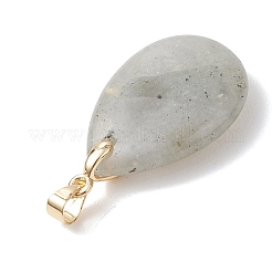 Природные подвески лабрадорита&nbsp;PALLOY-JF04953