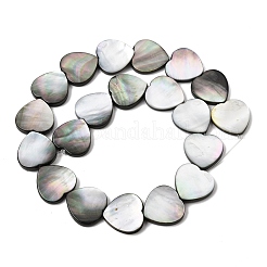 Natur schwarz Lippe Shell Perlen Stränge&nbsp;BSHE-D300-06C