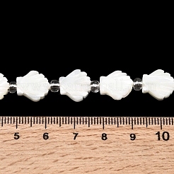 Нити бусин из натуральных трохоидных/трохус ракушек&nbsp;BSHE-A002-06