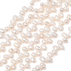 Fili di perle di perle d'acqua dolce coltivate naturali&nbsp;PA-CBABE82-03B
