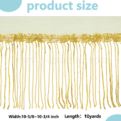 Ruban de dentelle à pampilles en polyester&nbsp;OCOR-WH0070-175E