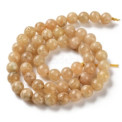 Бусины из натурального желтого граната&nbsp;G-Z129-C01-8mm-01